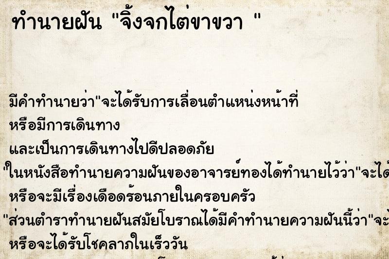 ทำนายฝันทำนายฝันจิ้งจกไต่ขาขวา